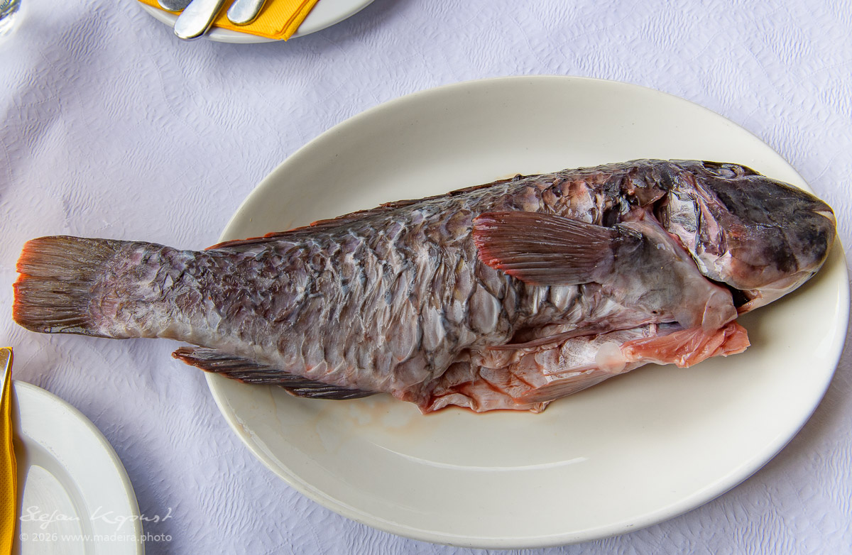 Frischer Fisch