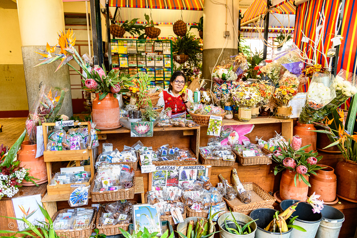 Pflanzensamen Markthalle