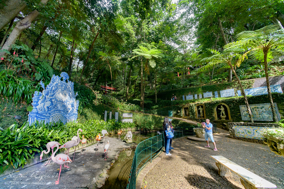 Flamingos im Monte Palace in Funchal