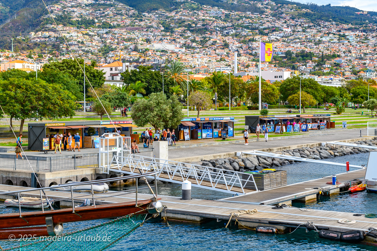 Defline Beobachten auf Madeira