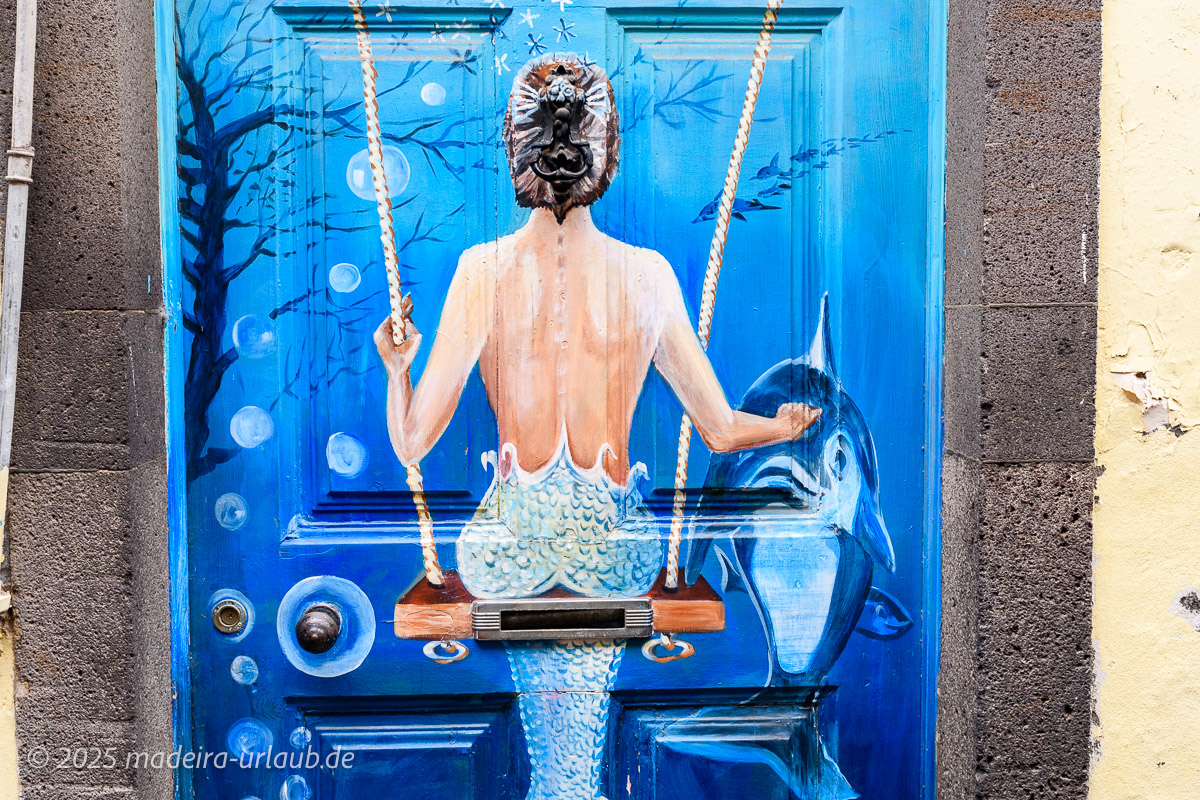 Funchal Streeart Türen Altstadt