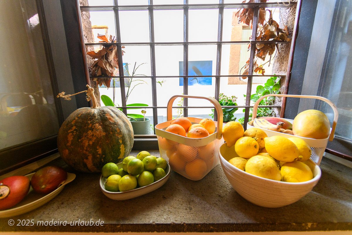  Fensterdeko - auch vegan 